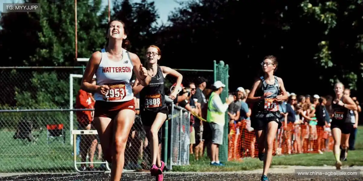 街霸5电竞职业赛:格斗电竞硬核对决,每一个立回都是博弈